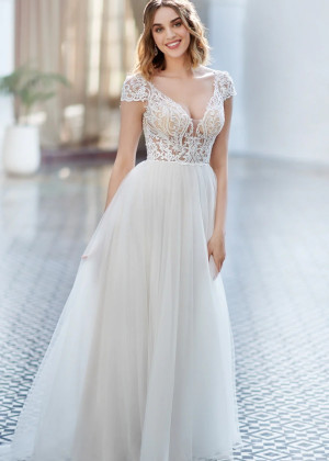 Cap Sleeves Ivory Embroidered Lace Tulle Modern Wedding Dress
